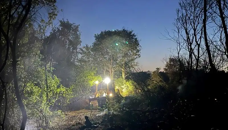 Edirne'de Yangın Korkusu: Orman Yangını Nasıl Kontrol Altına Alındı?