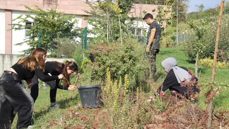 Düzce'nin Sırlarını Keşfeden Genç Girişimcinin Hayali Gerçek Oldu!