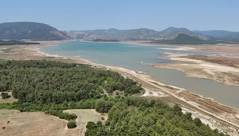İzmir'de Tehlike Çanları Çalıyor: Önceki Yıla Göre Yüzde 50 Düşüş!