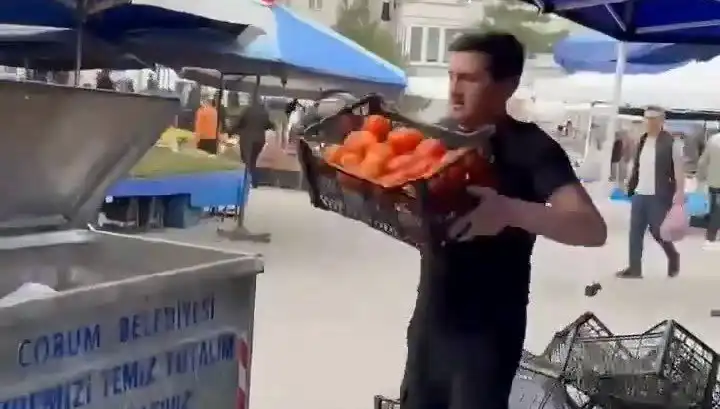 Domatesleri Çöpe Döken Pazarcıya Verilen Cezanın Sebepleri ve Sonuçları