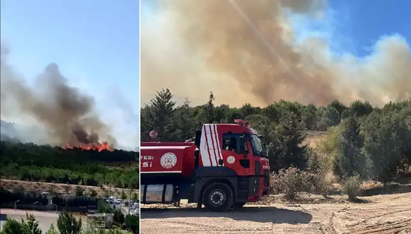 Gebze'de Çıkan Orman Yangını: Doğa ve Canlılar Tehlike Altında