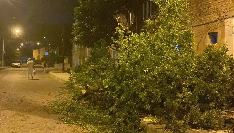 Karabük'te Ürkütücü Fırtına: Doğa Adeta Yıkım Getirdi!